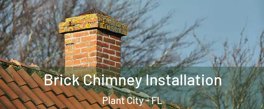  Brick Chimney Installation Plant City - FL