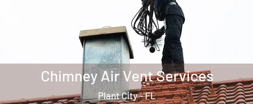  Chimney Air Vent Services Plant City - FL