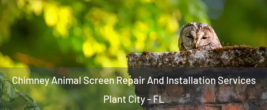  Chimney Animal Screen Repair And Installation Services Plant City - FL