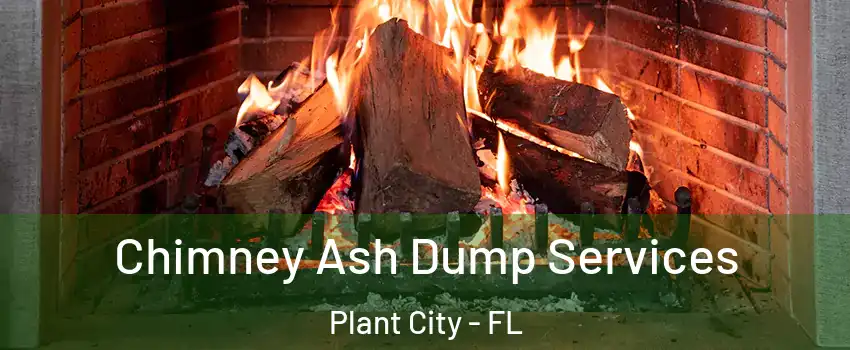  Chimney Ash Dump Services Plant City - FL