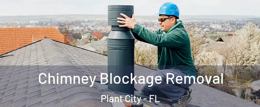  Chimney Blockage Removal Plant City - FL