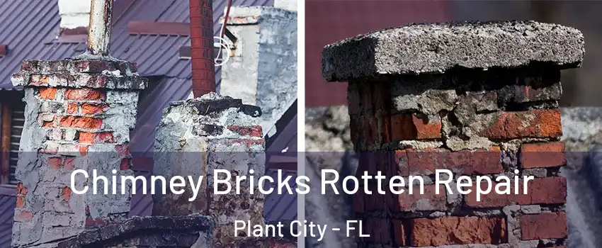  Chimney Bricks Rotten Repair Plant City - FL