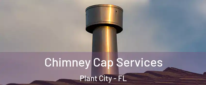 Chimney Cap Services Plant City - FL