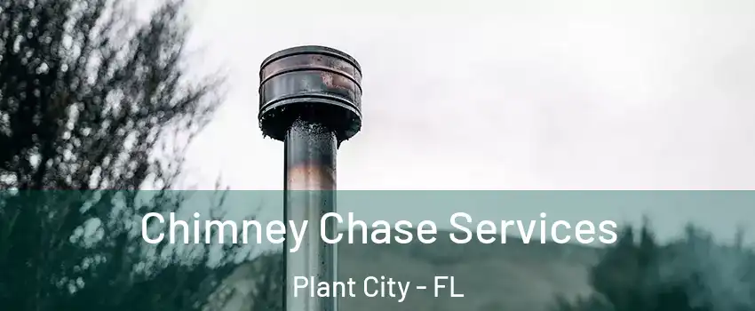  Chimney Chase Services Plant City - FL