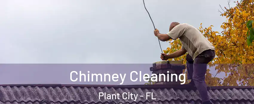  Chimney Cleaning Plant City - FL