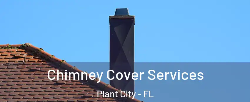  Chimney Cover Services Plant City - FL