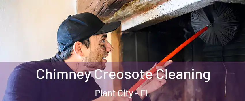 Chimney Creosote Cleaning Plant City - FL