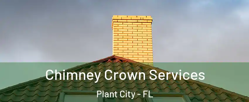 Chimney Crown Services Plant City - FL