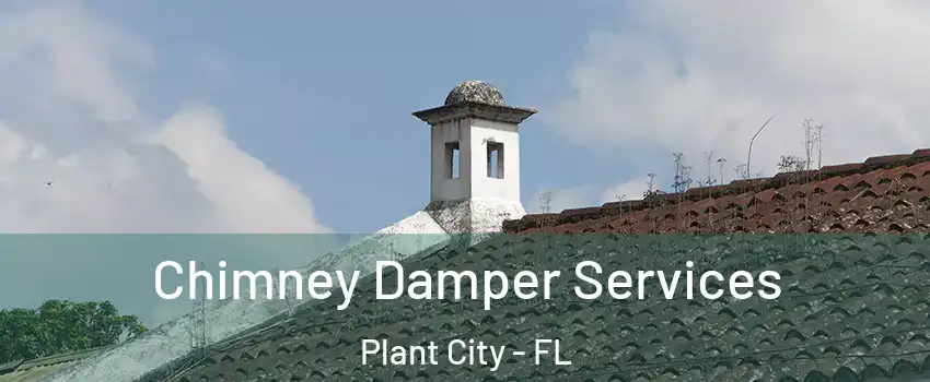  Chimney Damper Services Plant City - FL