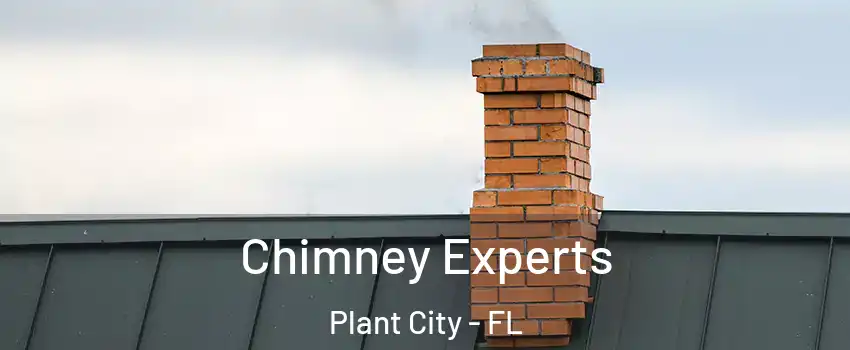 Chimney Experts Plant City - FL