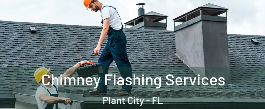 Chimney Flashing Services Plant City - FL