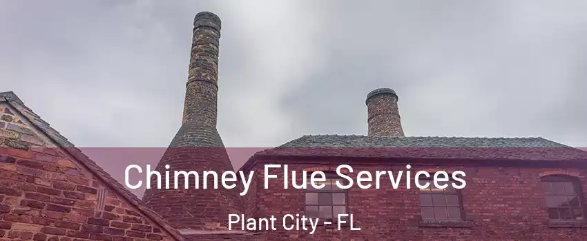  Chimney Flue Services Plant City - FL
