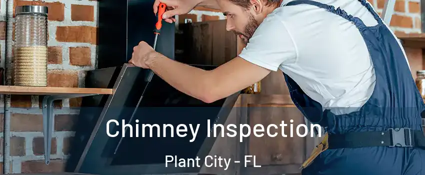  Chimney Inspection Plant City - FL
