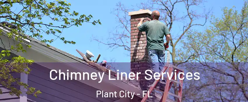  Chimney Liner Services Plant City - FL