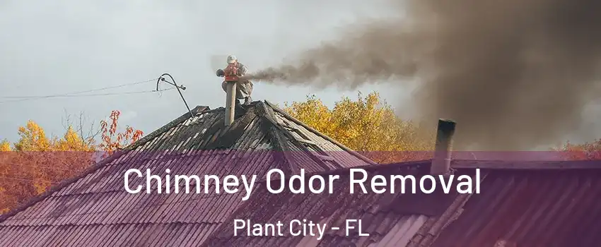  Chimney Odor Removal Plant City - FL