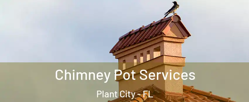  Chimney Pot Services Plant City - FL