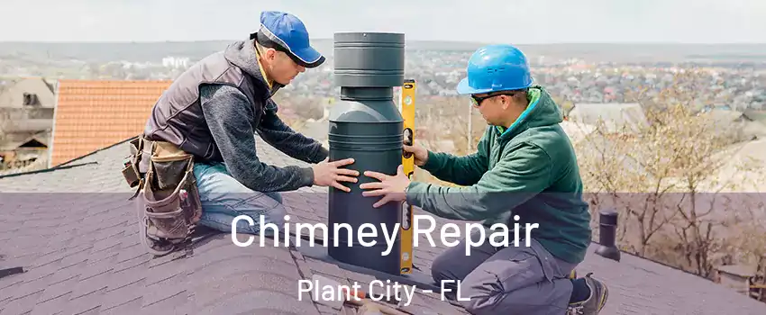  Chimney Repair Plant City - FL