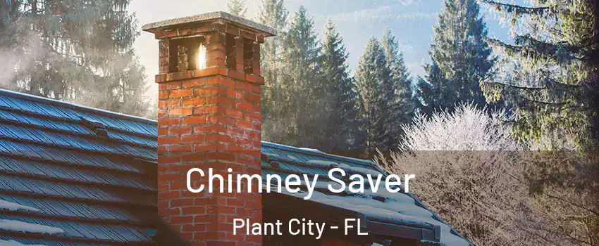  Chimney Saver Plant City - FL