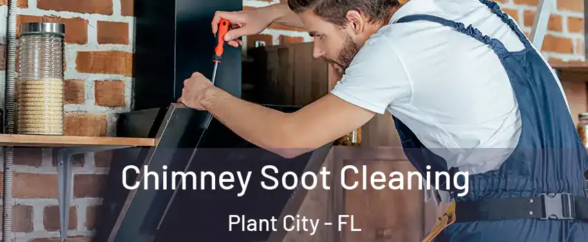  Chimney Soot Cleaning Plant City - FL
