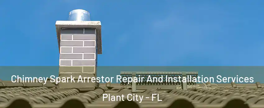  Chimney Spark Arrestor Repair And Installation Services Plant City - FL