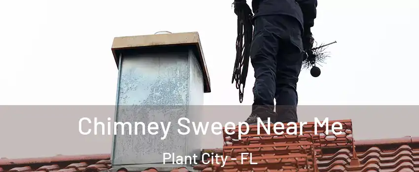  Chimney Sweep Near Me Plant City - FL
