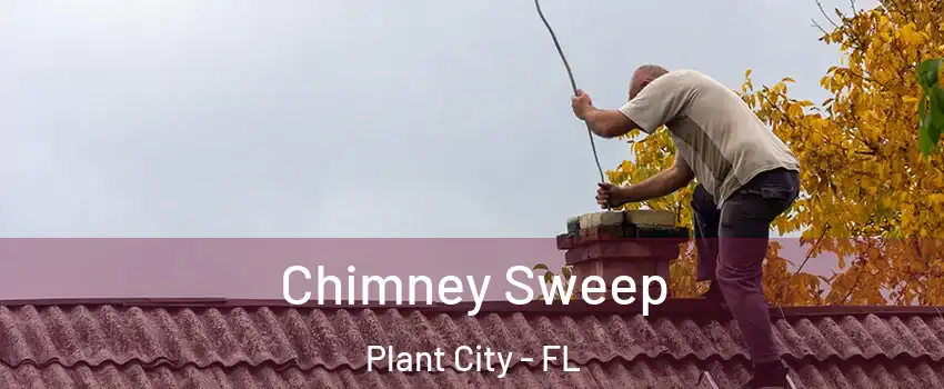  Chimney Sweep Plant City - FL