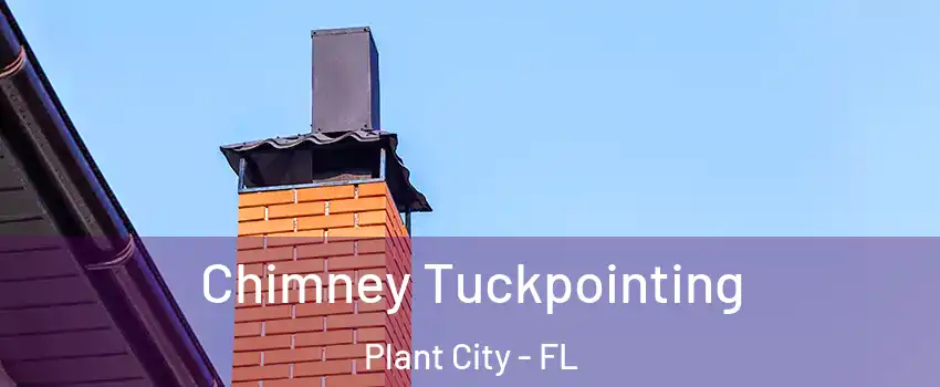  Chimney Tuckpointing Plant City - FL