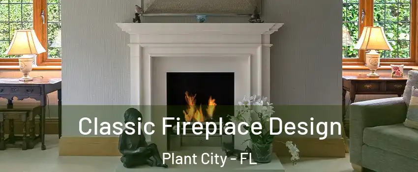 Classic Fireplace Design Plant City - FL