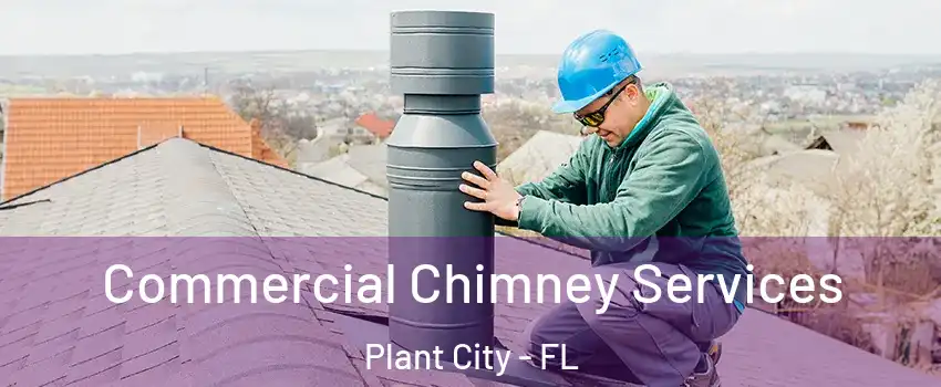  Commercial Chimney Services Plant City - FL