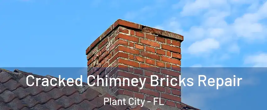  Cracked Chimney Bricks Repair Plant City - FL