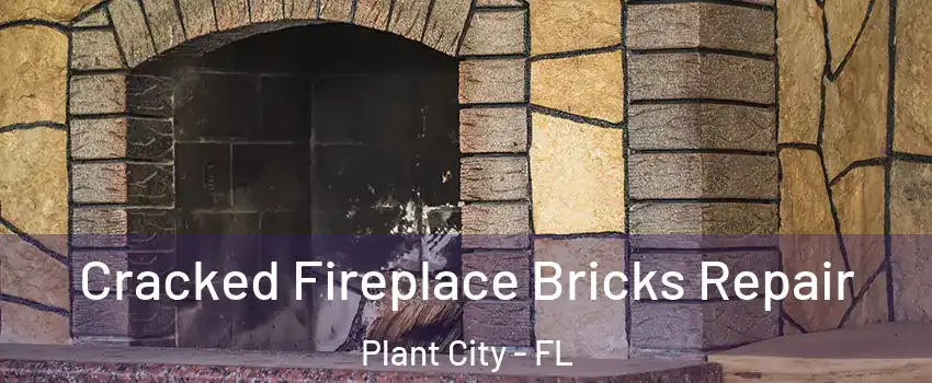  Cracked Fireplace Bricks Repair Plant City - FL