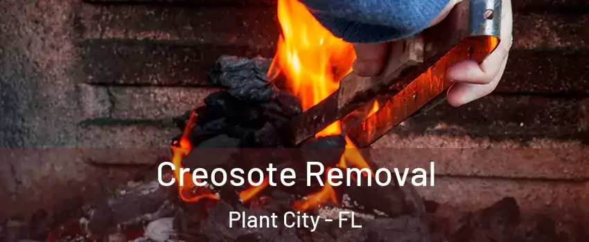  Creosote Removal Plant City - FL