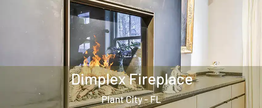  Dimplex Fireplace Plant City - FL