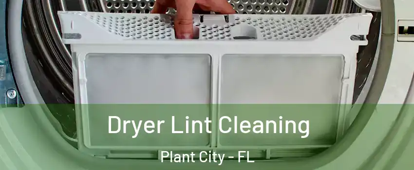  Dryer Lint Cleaning Plant City - FL