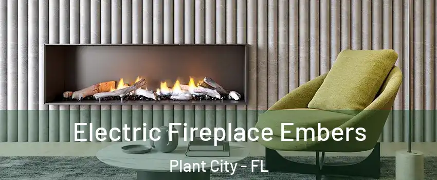  Electric Fireplace Embers Plant City - FL
