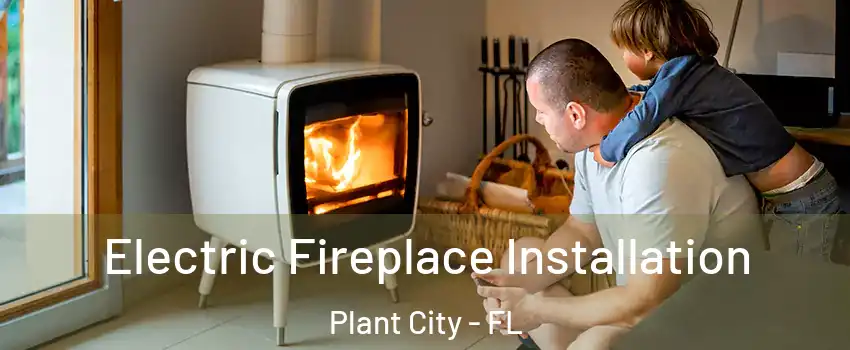  Electric Fireplace Installation Plant City - FL