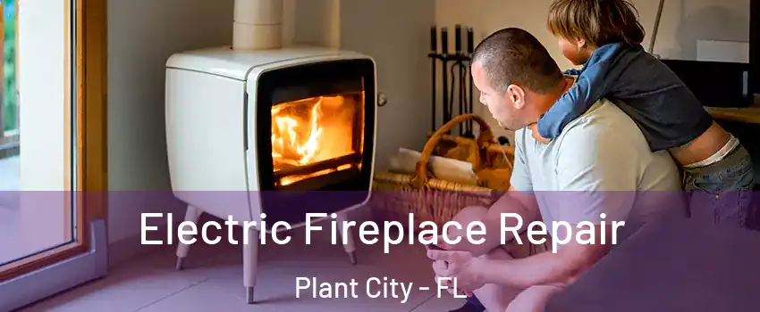 Electric Fireplace Repair Plant City - FL