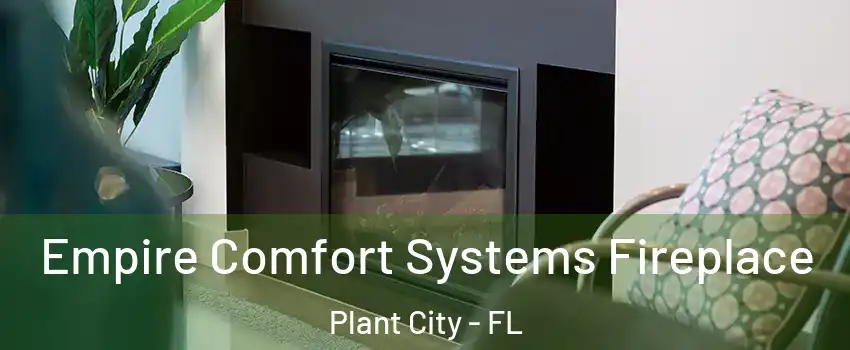  Empire Comfort Systems Fireplace Plant City - FL