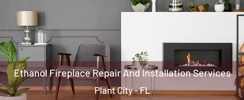  Ethanol Fireplace Repair And Installation Services Plant City - FL