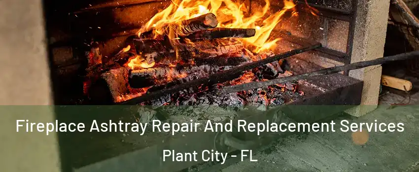  Fireplace Ashtray Repair And Replacement Services Plant City - FL
