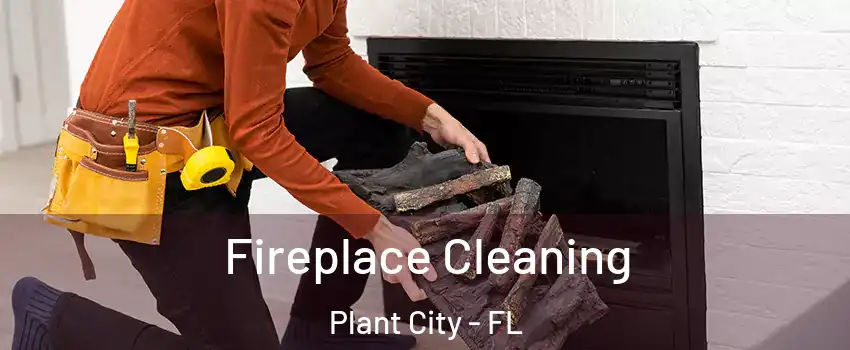  Fireplace Cleaning Plant City - FL