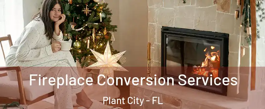  Fireplace Conversion Services Plant City - FL