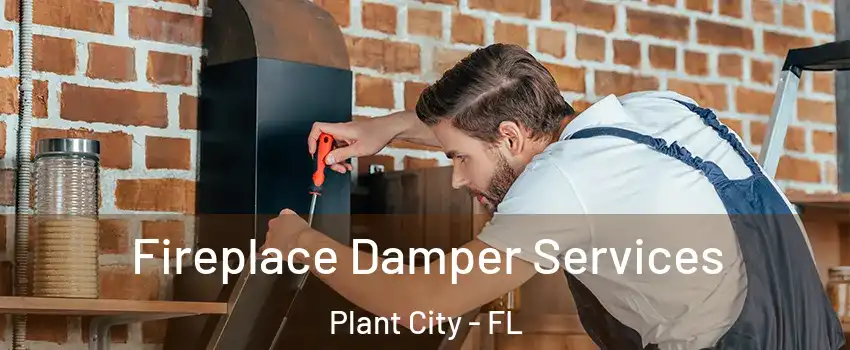  Fireplace Damper Services Plant City - FL