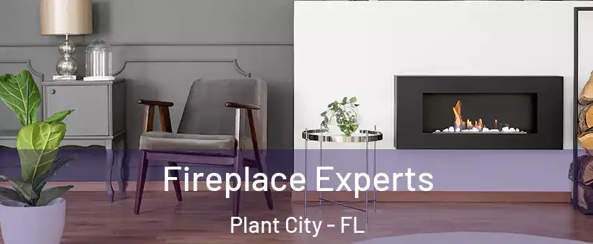  Fireplace Experts Plant City - FL