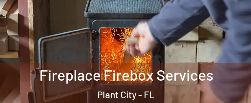  Fireplace Firebox Services Plant City - FL