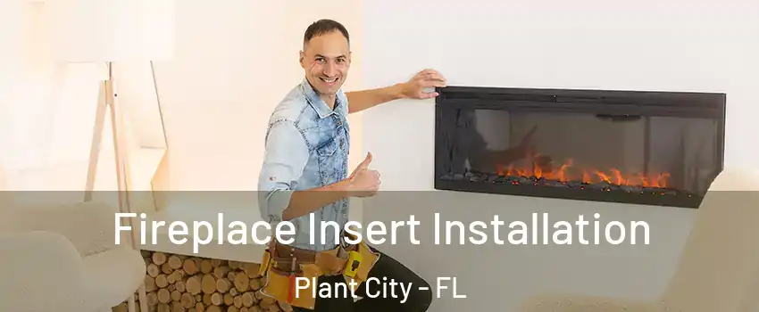  Fireplace Insert Installation Plant City - FL