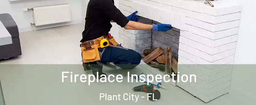  Fireplace Inspection Plant City - FL