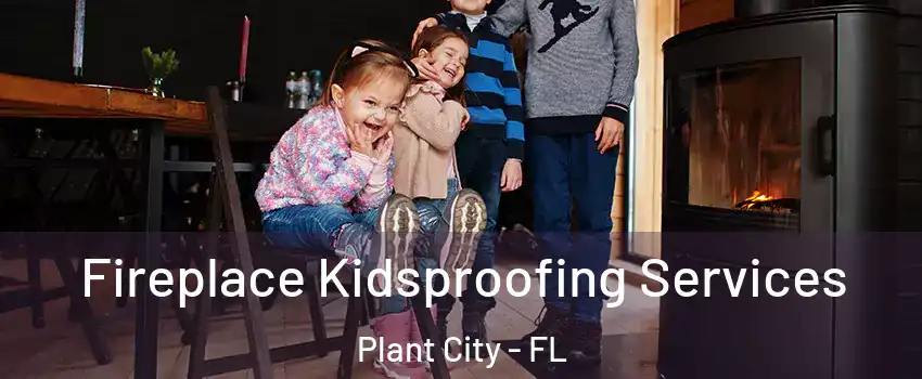  Fireplace Kidsproofing Services Plant City - FL