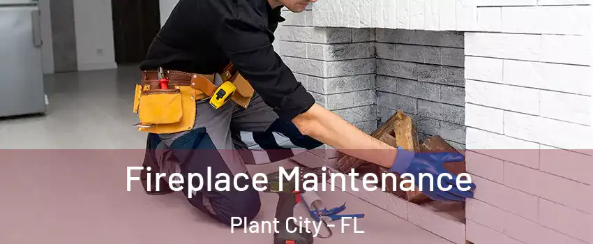  Fireplace Maintenance Plant City - FL