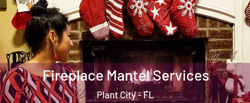  Fireplace Mantel Services Plant City - FL